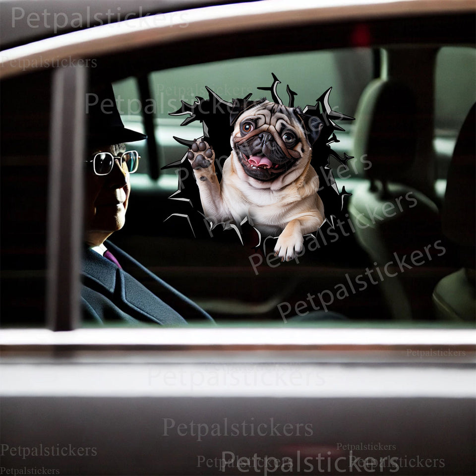 Charming Pug dog decal applied smoothly onto the side car door of a white sedan.