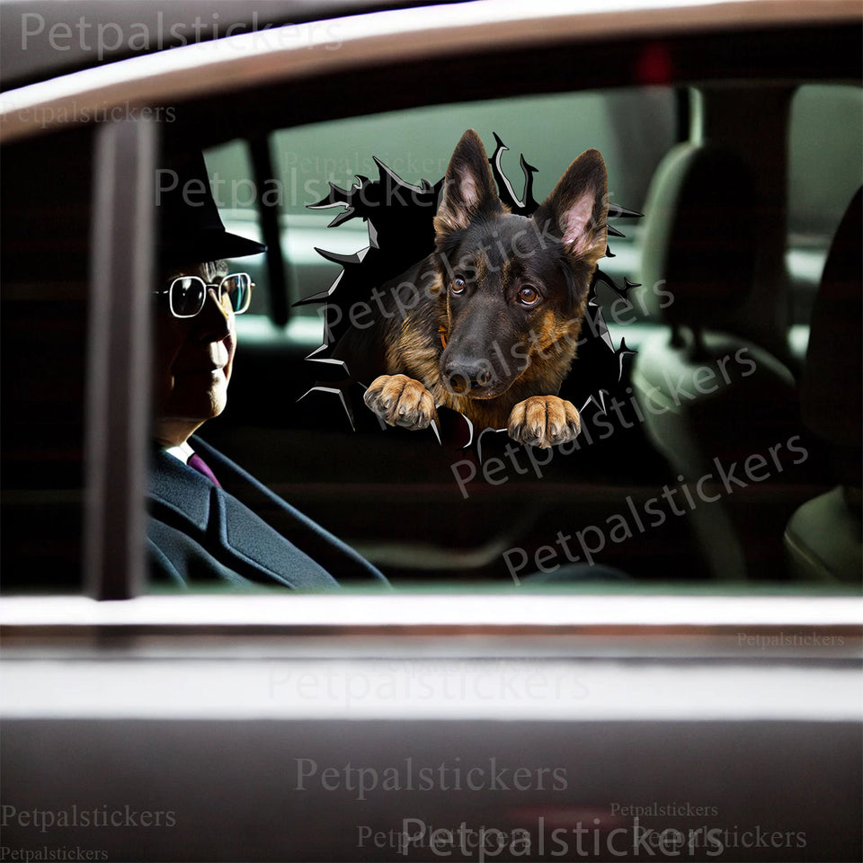 Vibrant German Shepherd vinyl sticker styled cleanly across a black car door exterior.
