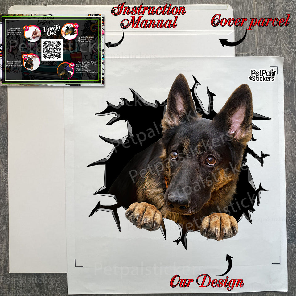 Delivered retail package containing the dog sticker alongside detailed application instructions.