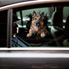 Detailed German Shepherd vinyl decal adhered smoothly to an exterior car door.