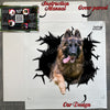 Protective cardboard retail package enclosing the German Shepherd vinyl decal safely.