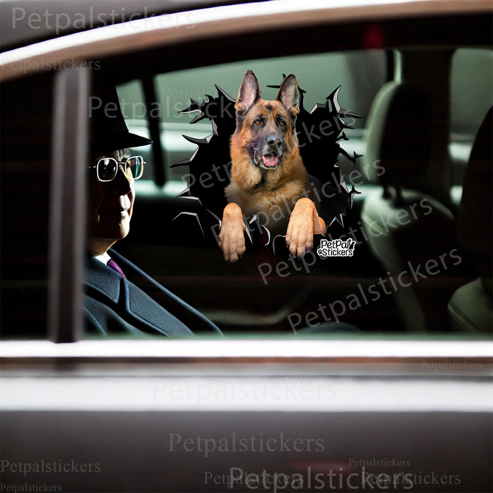 Detailed German Shepherd vinyl decal displayed smoothly on a white car door surface.