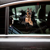 Realistic German Shepherd decal applied to the exterior car door panel of a clean modern vehicle.