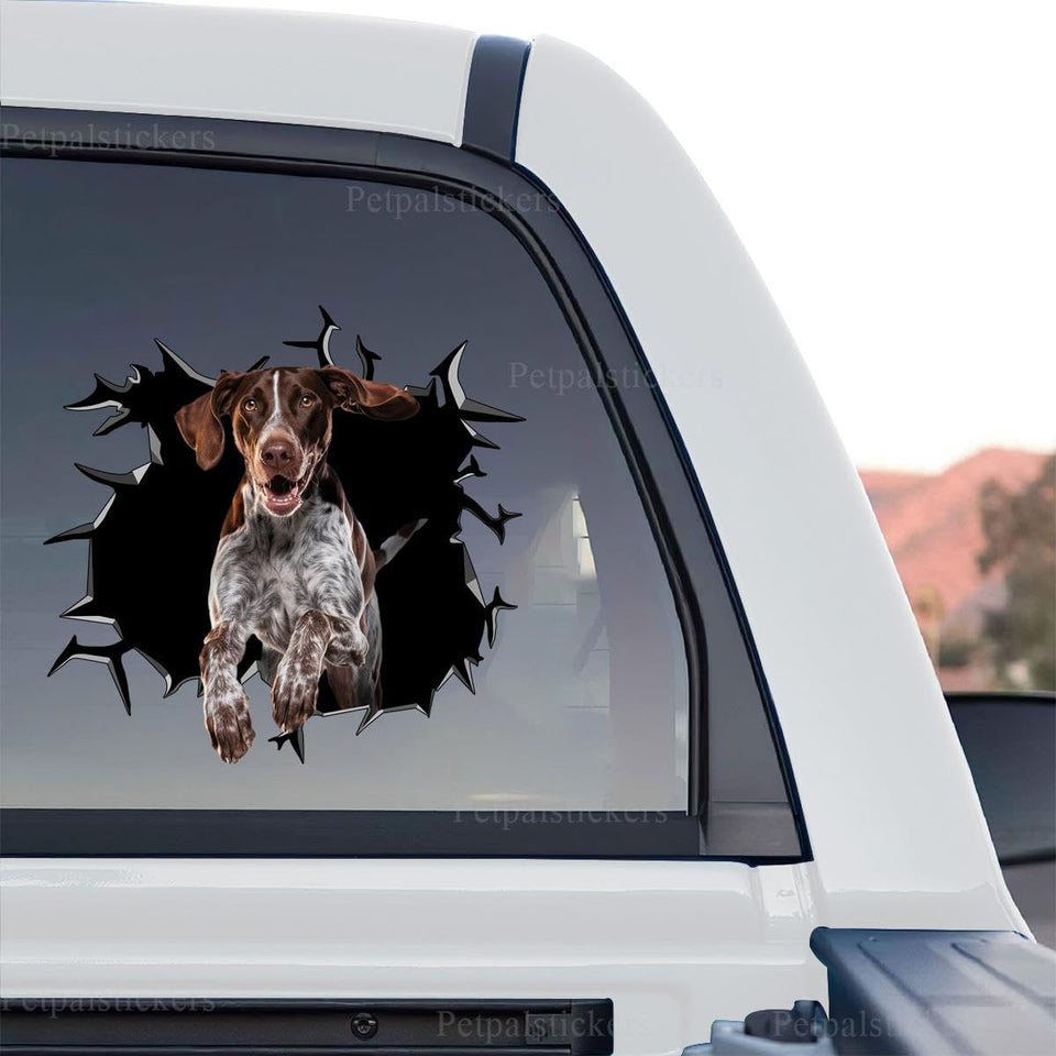 German Shorthaired Pointer standalone product design showing a realistic cracked glass optical effect.