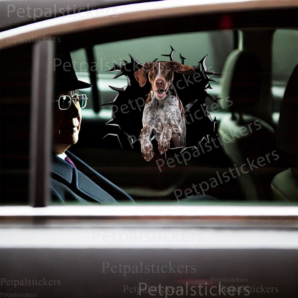 Vibrant pointer dog decal featured seamlessly on a smooth car door with high gloss laminate finish.