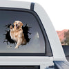 Weatherproof dog graphic decal displayed on the back window of a truck outdoors.
