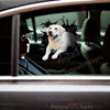 Cute Golden Retriever  And Decor graphic sticker applied to a white car door