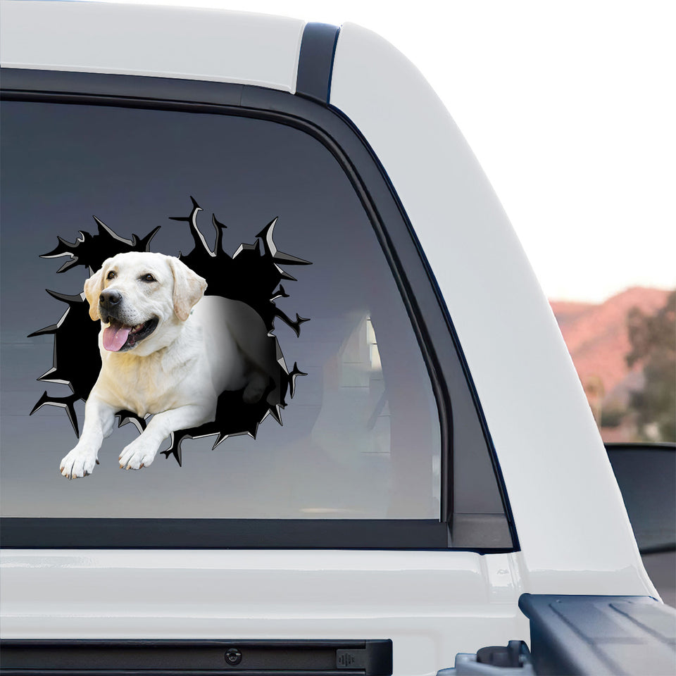Outdoor durable dog decal featured on the side window of a truck