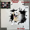 Unboxing the secure package containing the waterproof golden retriever decal
