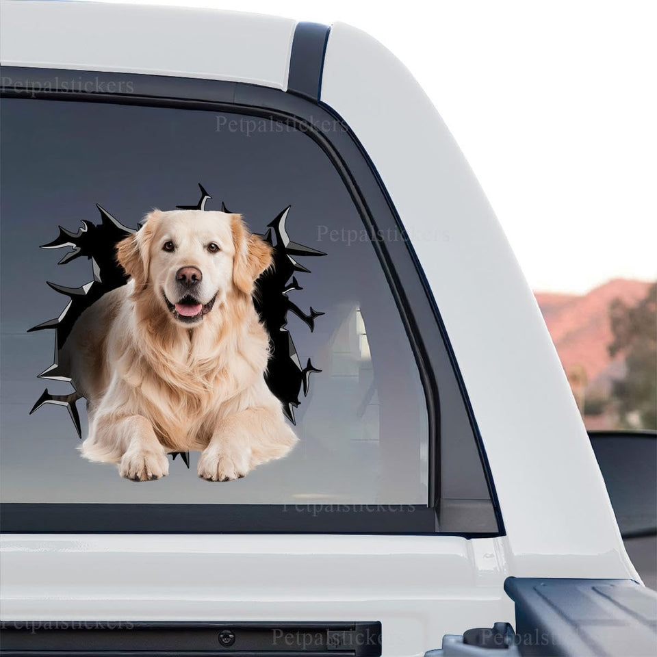 Vibrant Golden Retriever  Beach standalone product design printed on clear vinyl film with gloss finish.