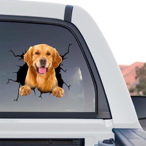 Vibrant Golden Retriever graphic car decal artwork shown as a standalone product design on clear gloss vinyl.