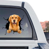 Golden Retriever graphic decal displayed as a standalone product design on a transparent background.