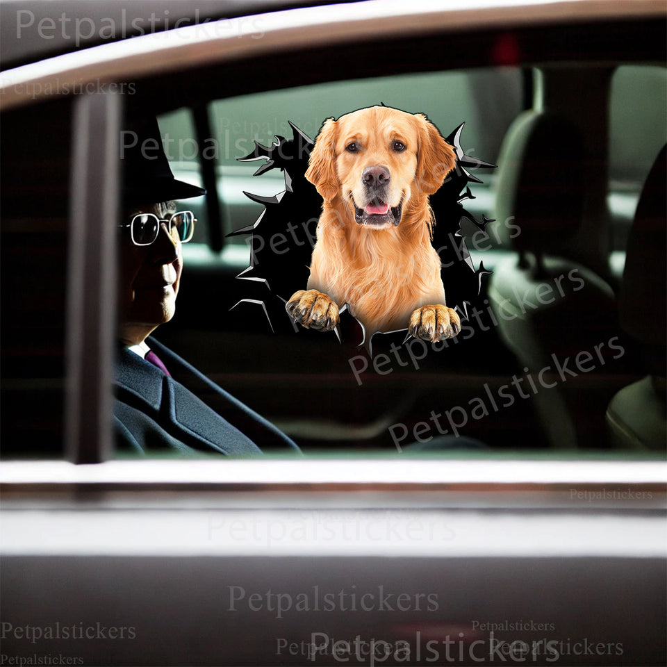 Vibrant Golden Retriever art sticker applied smoothly onto a white car door surface.