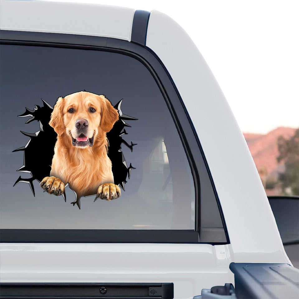 Clear vinyl Golden Retriever graphic sticker adhered cleanly to the rear window of a truck.