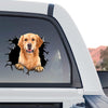 Clear vinyl Golden Retriever graphic sticker adhered cleanly to the rear window of a truck.