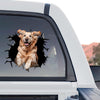 Realistic Golden Retriever standalone product design featuring a broken glass visual effect.