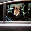 Smiling Golden Retriever sticker applied smoothly to the exterior car door panel.