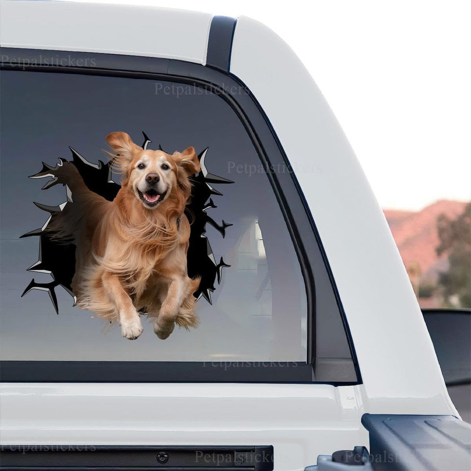 Golden Retriever Wall standalone product design featuring realistic cute artwork on clear gloss vinyl.