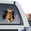 Golden Retriever Wall standalone product design featuring realistic cute artwork on clear gloss vinyl.