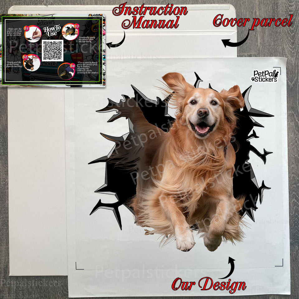 Complete package presentation of the Golden Retriever Wall sticker ready for easy installation.