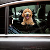 Vibrant curly-haired Goldendoodle decal mounted cleanly on a white car door surface.