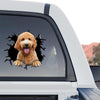 Happy golden dog graphic applied smoothly to the rear window glass of a black truck.