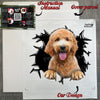 Carefully packed Goldendoodle decal inside protective package packaging ready to install.