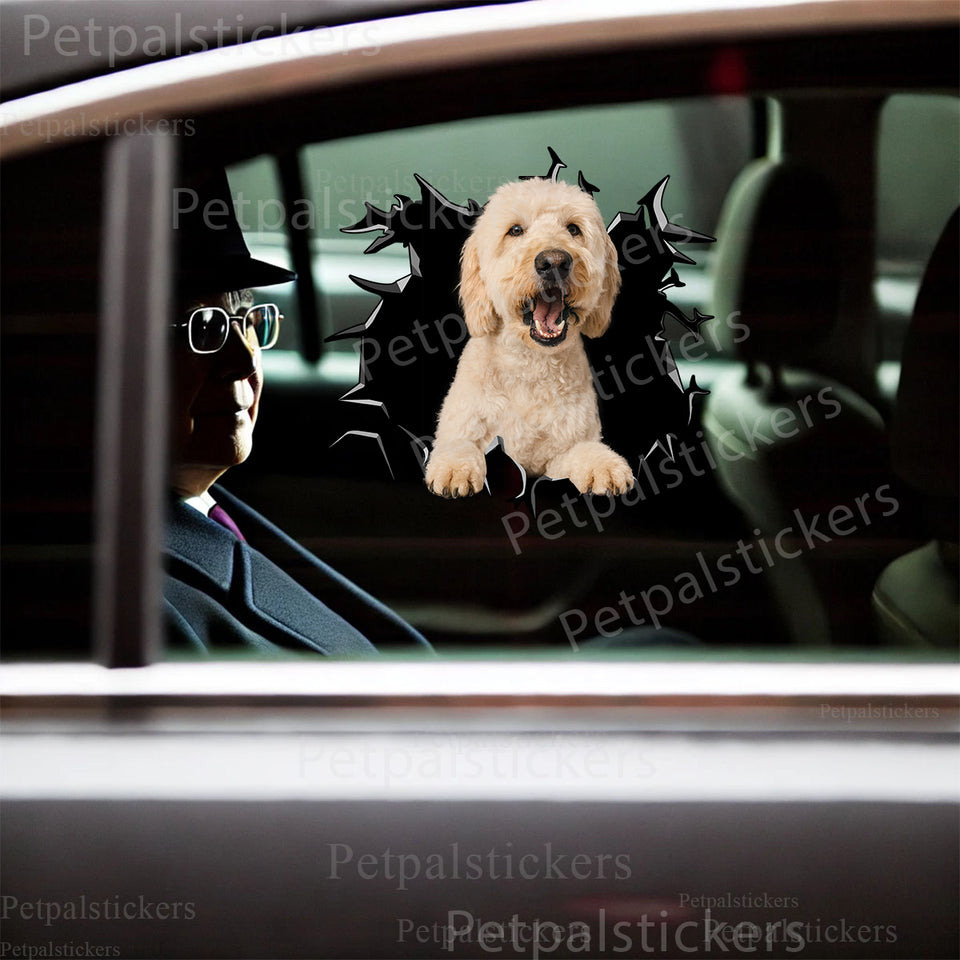 Vibrant Goldendoodle vinyl sticker smoothly applied onto an exterior car door surface.