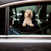 Vibrant Goldendoodle vinyl sticker smoothly applied onto an exterior car door surface.