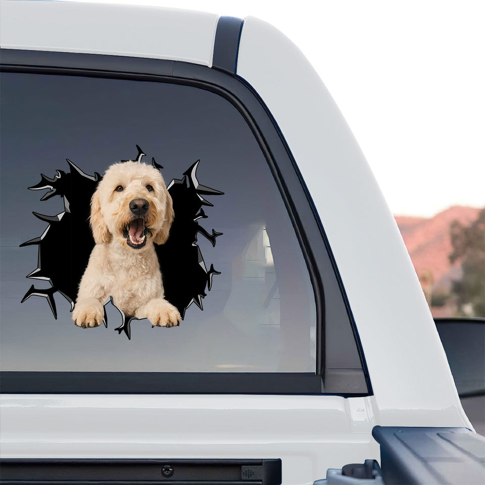 Charming Goldendoodle pet graphic displayed on the rear glass window of a truck.