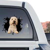 Charming Goldendoodle pet graphic displayed on the rear glass window of a truck.