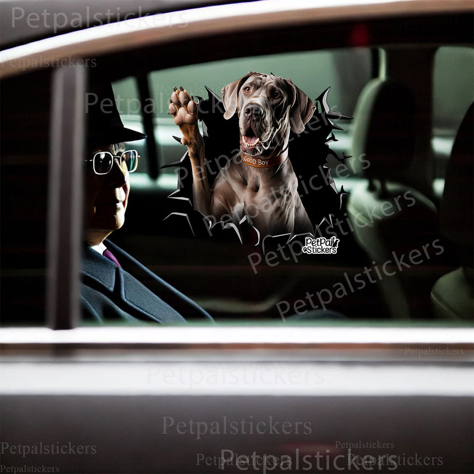 Charming Great Dane artwork displayed cleanly on the front car door of a white vehicle.