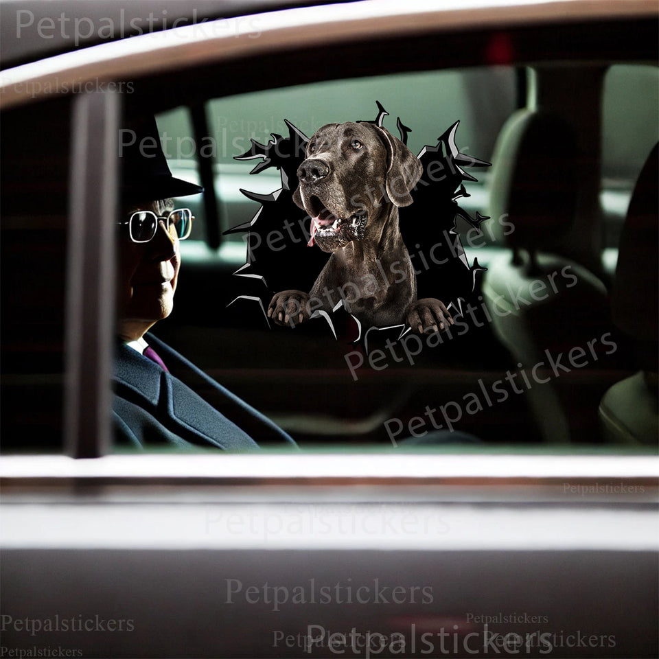Great Dane graphic sticker applied smoothly onto the side car door of a white commuter vehicle.