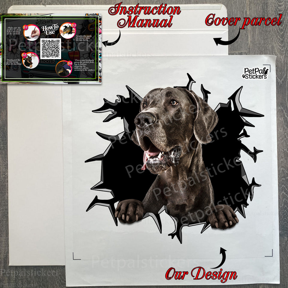 Included instruction sheet and secure package showcasing the unboxed Great Dane vinyl decal.