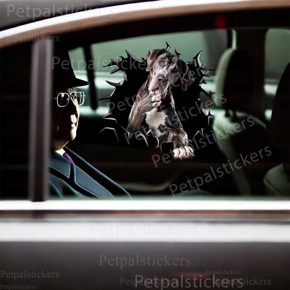 Clear vinyl Great Dane sticker applied smoothly to a white car door surface.