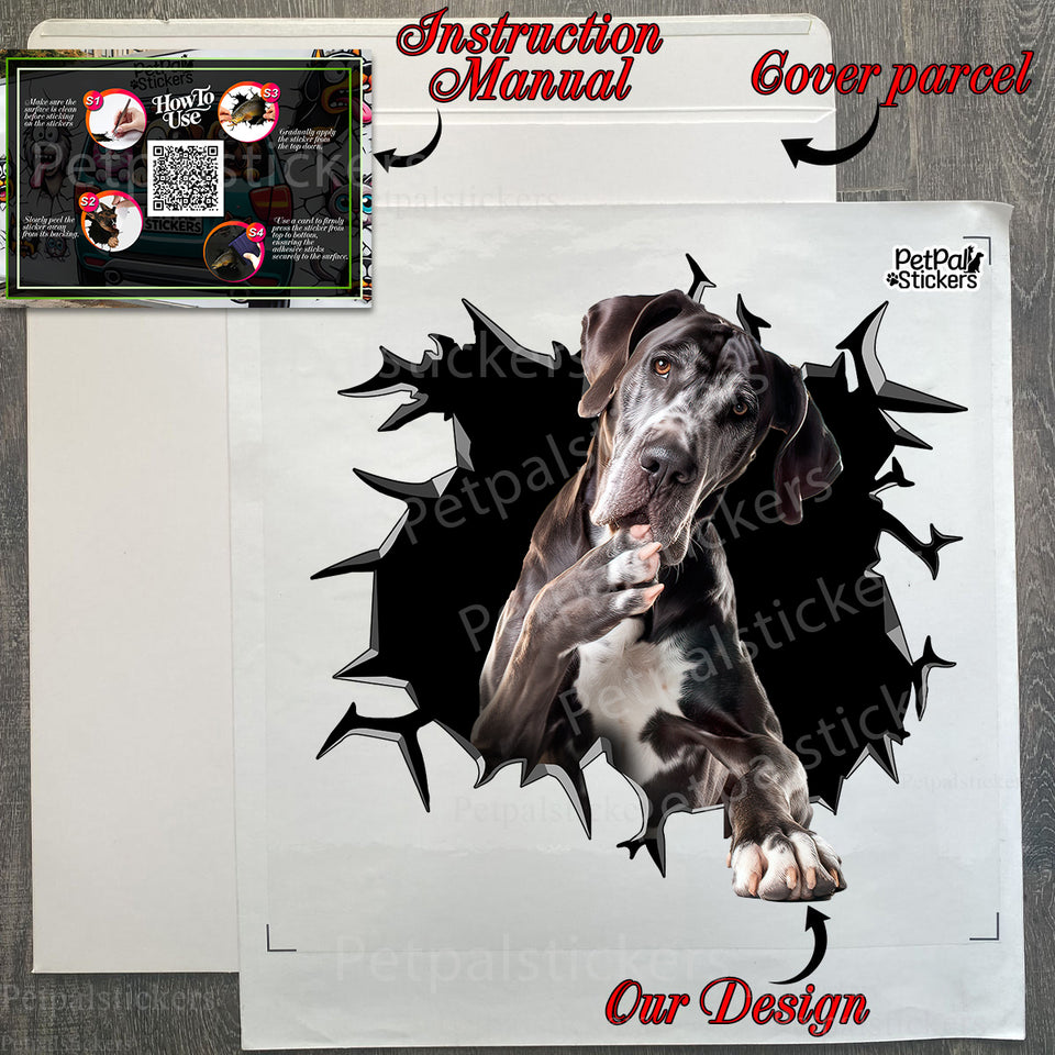 Protective secure package holding the Great Dane vinyl decal and application guide.