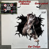 Protective secure package holding the Great Dane vinyl decal and application guide.