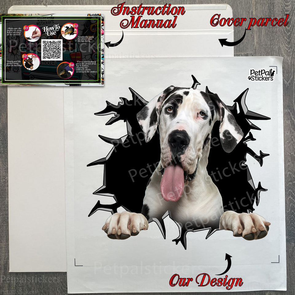 Unboxed Great Dane decal set displayed neatly alongside protective package.