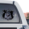 Grey Maine Coon Cat standalone product design rendered with vivid detail on clear film.