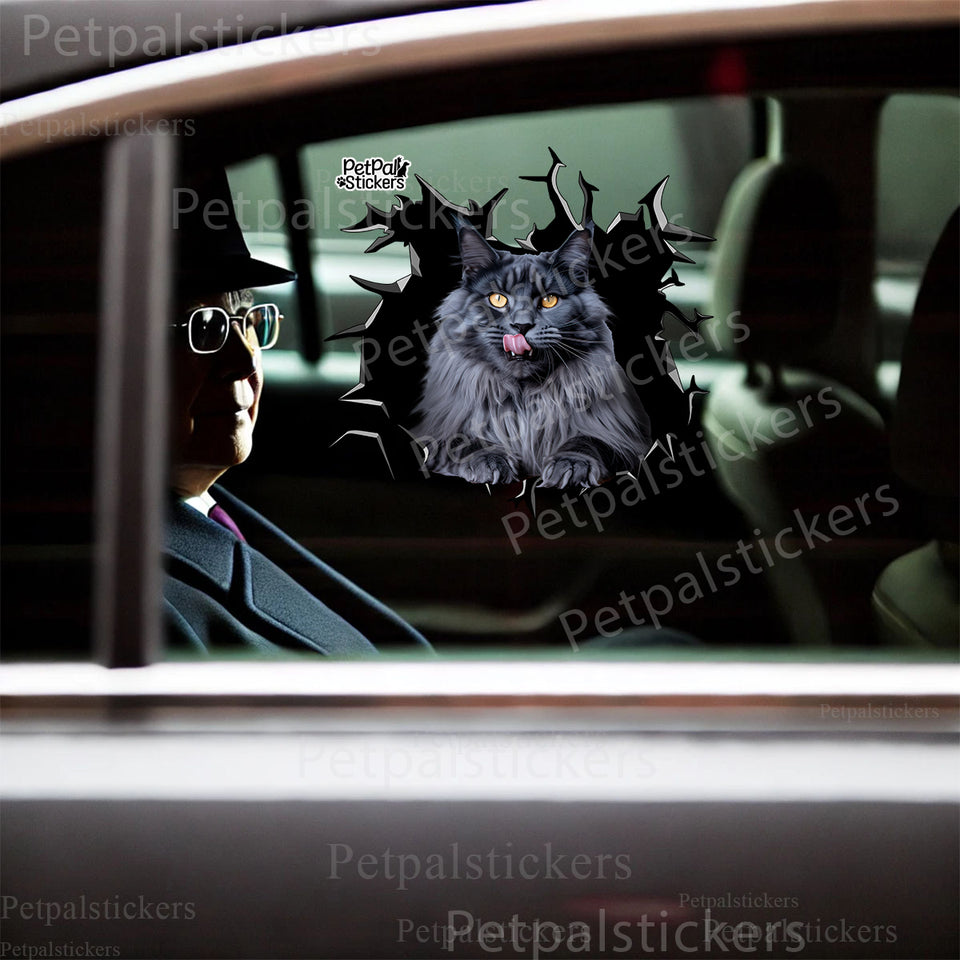 Vibrant feline sticker applied to a car door showcasing realistic fur textures on clean paint.