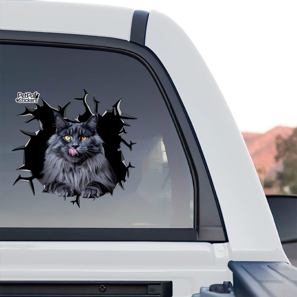 Outdoor decal displayed on the back window of a truck highlighting the peeking cat artwork.