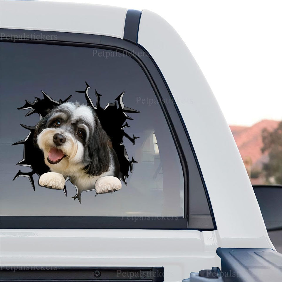 Clear vinyl Havanese standalone product design showcasing detailed dog artwork.