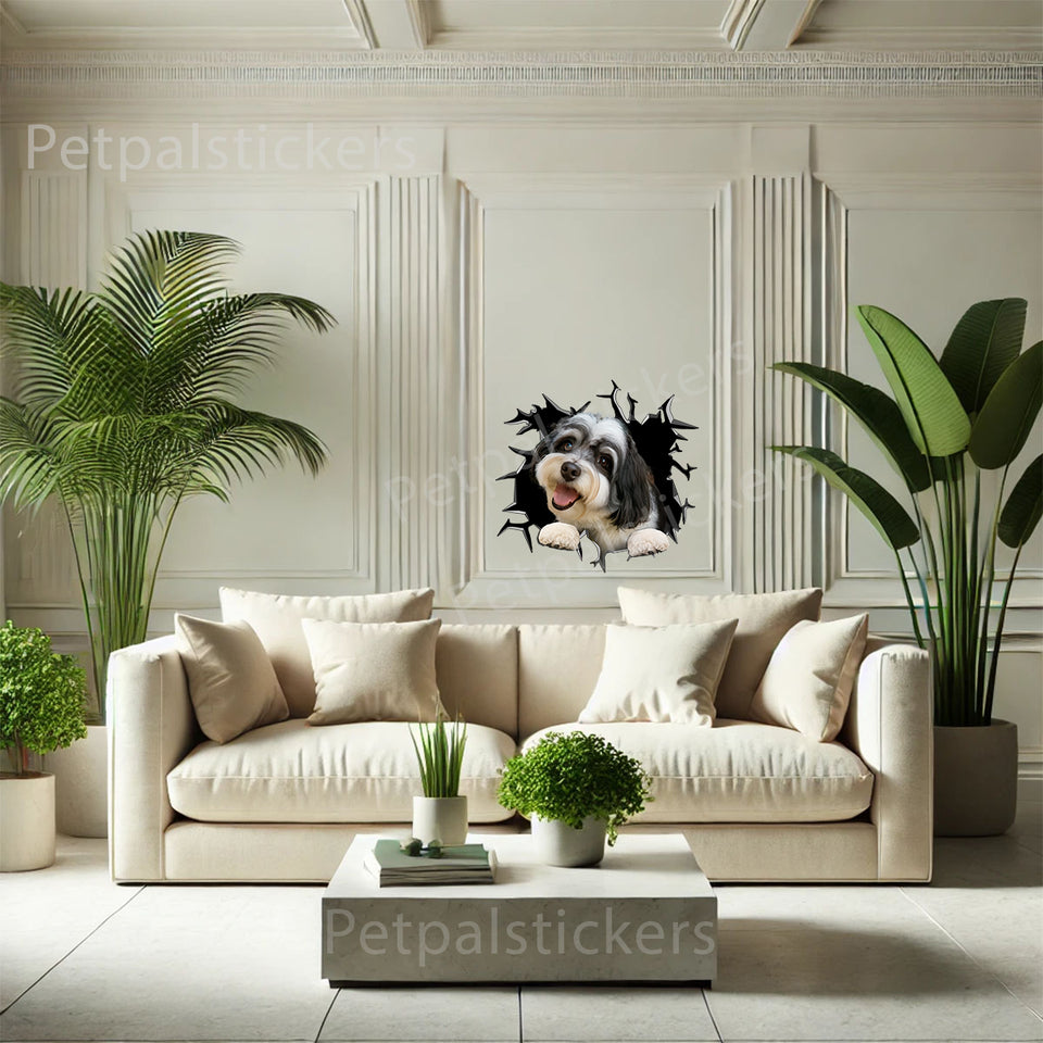 Charming Havanese pet decal accenting a painted interior wall surface.