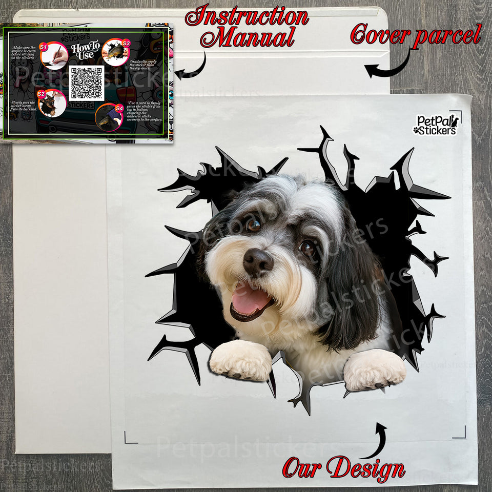 Protective mailer package containing the clear vinyl Havanese car decal.