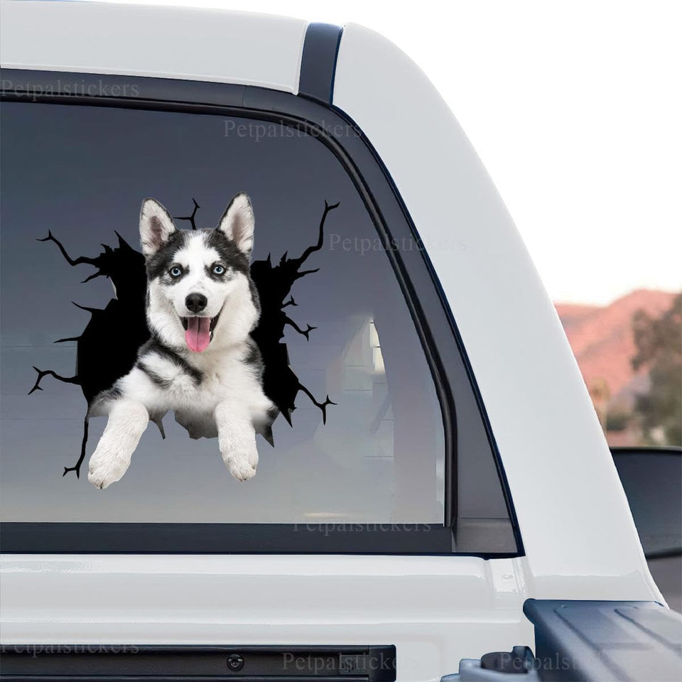 Husky graphic decal displayed as a standalone product design on a neutral background.
