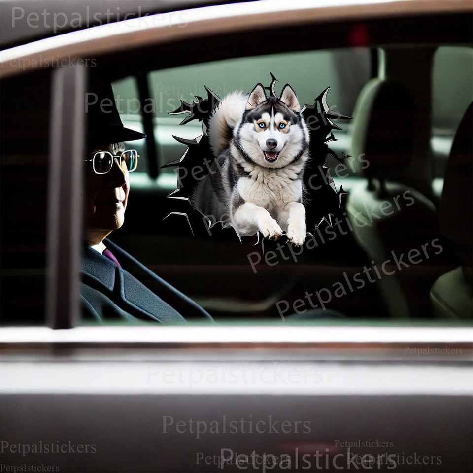 Vibrant Husky dog decal adhered smoothly onto a white car door exterior.