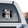 Detailed Husky vinyl sticker showcased on the back window of a truck.