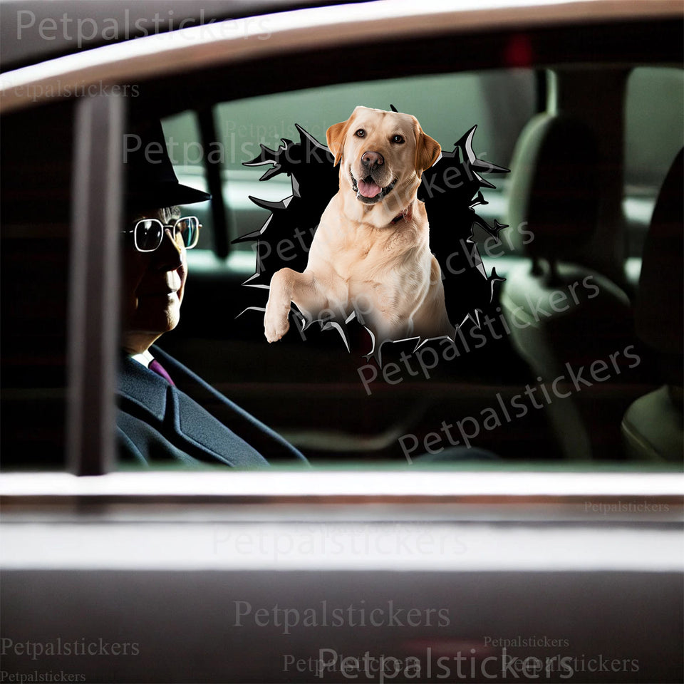 Glossy black Lab decal seamlessly applied to the exterior car door panel.