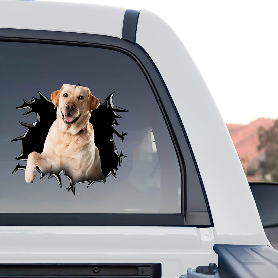 High quality Lab vinyl sticker displayed on the rear window of a truck.