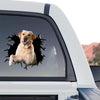 High quality Lab vinyl sticker displayed on the rear window of a truck.